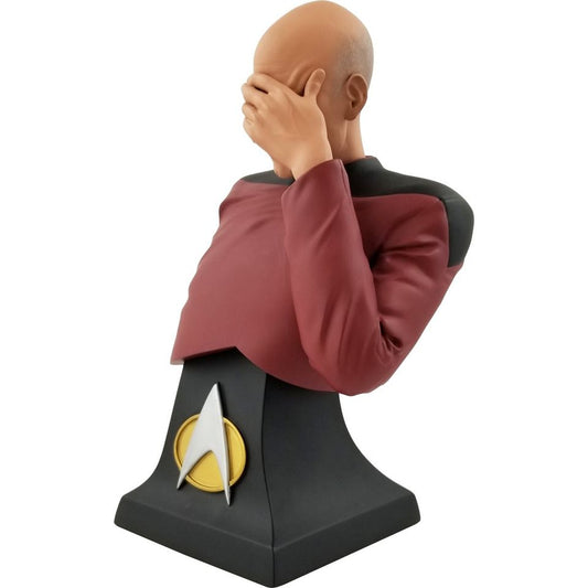 Captain Jean-Luc Picard Facepalm