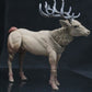 MIGHTY STEEDS KAWIKI ELK 1/18 AF
